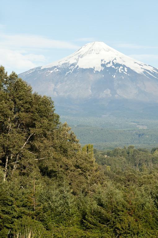 Cabanas Patagonia Lefun Pucón Екстериор снимка